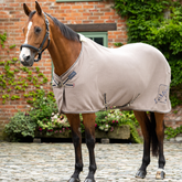 Horse stands wearing the LeMieux Kudos Bamboo Cooler Rug in Pecan